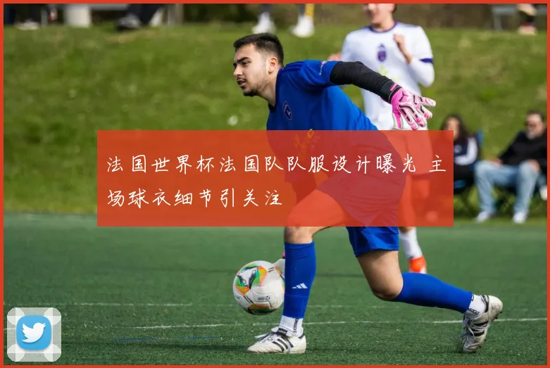 法国世界杯法国队队服设计曝光 主场球衣细节引关注