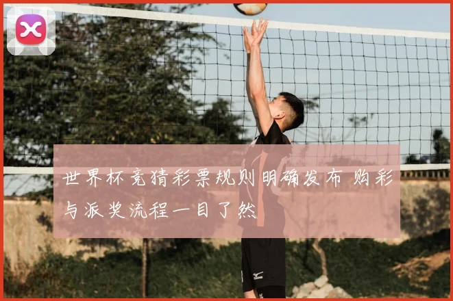 世界杯竞猜彩票规则明确发布 购彩与派奖流程一目了然